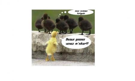 le racisme n'exite plus